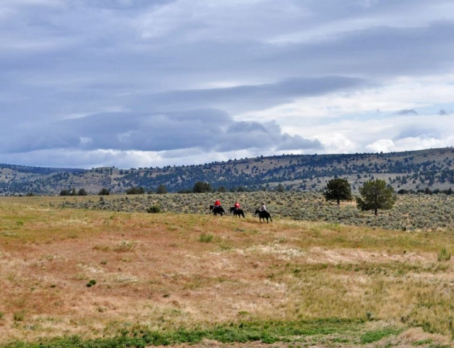 Tres jinetes al aire libre.jpg